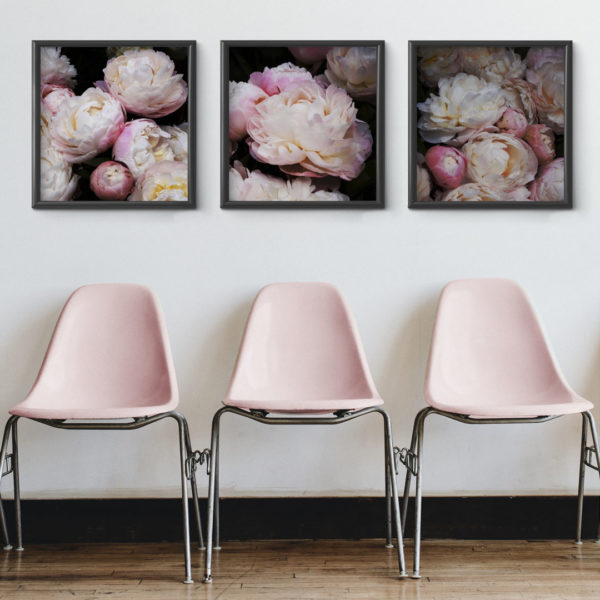 peonies-pink-chairs